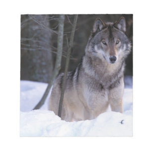 Bloco De Notas América do Norte, Canadá, Canadá Oriental, Lobo ci