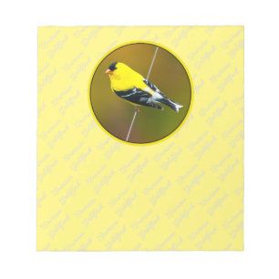 Bloco De Notas American Goldfinch - Fotografia original