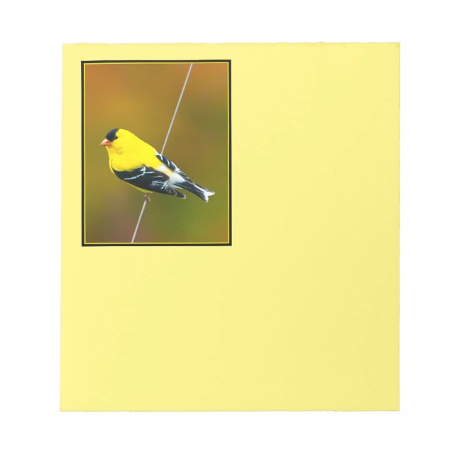 Bloco De Notas American Goldfinch - Fotografia original (Frente)