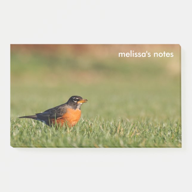 Bloco De Notas American Robin the Winter Grass (Frente)