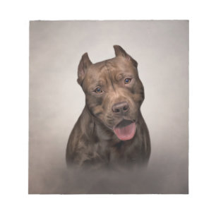 Bloco De Notas American Staffordshire Terrier