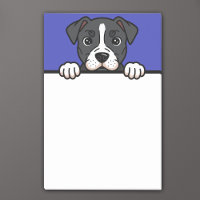 American Staffordshire Terrier Custom Amstaff Dog