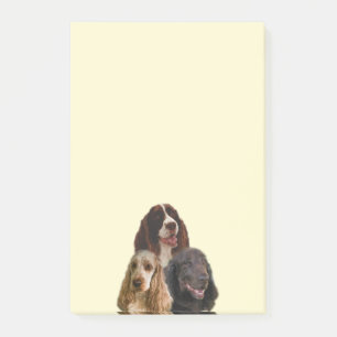 Bloco De Notas Amor do Spaniel - notas de post-it