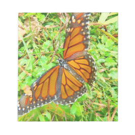 Bloco De Notas Amor natural