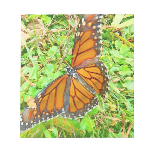 Bloco De Notas Amor natural (Frente)