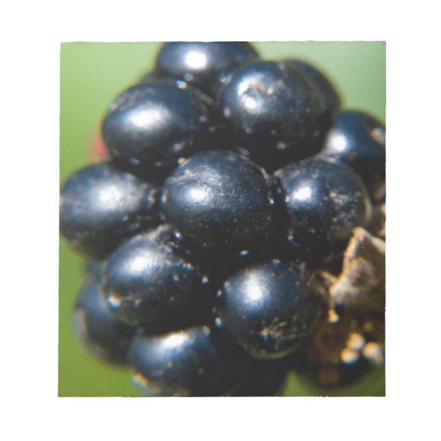 Bloco De Notas Amoras (Frente)