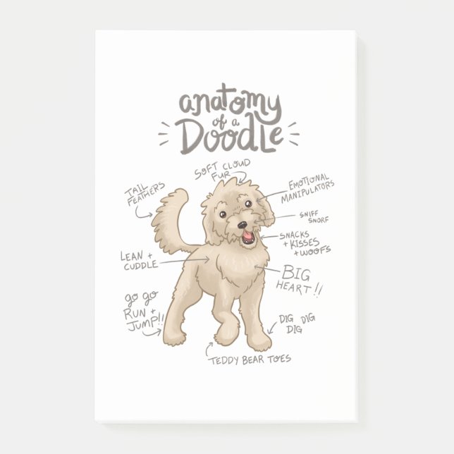 Bloco De Notas Anatomia de um Goldendoodle (Frente)