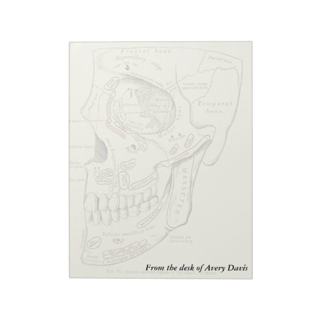 Bloco De Notas Anatomia venosa Região terolateral do crânio (Invertido)