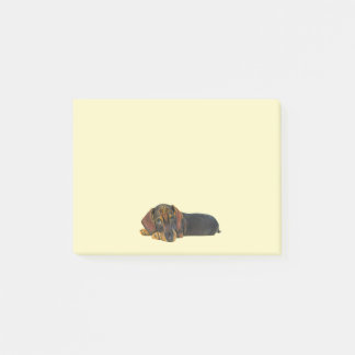 Bloco De Notas Anéis Dachshund de Posto