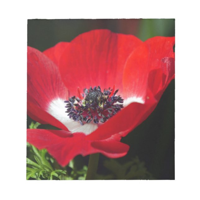 Bloco De Notas Anemone Vermelho.JPG (Frente)