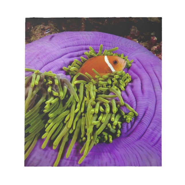 Bloco De Notas Anêmono e anêmona grande (Frente)