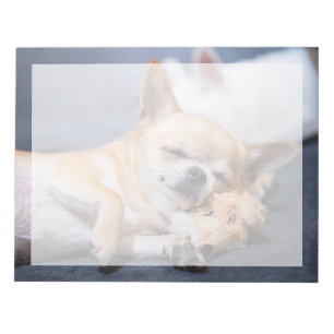 Bloco De Notas Animais Bebês Mais Fofos Cachorro Chihuahua de C