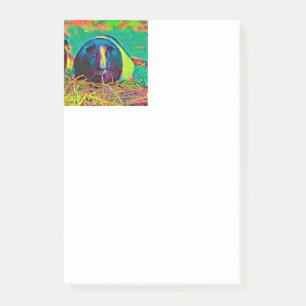 Bloco De Notas AnimalColor_Guineapig_002