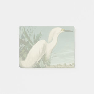 Bloco De Notas Aniversário de Ave-de-Egrete Branca de Audubon Sno