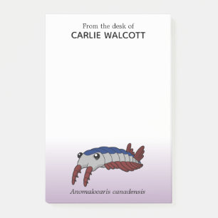 Bloco De Notas Anomalocardiografia animal pré-histórica