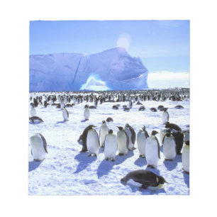 Bloco De Notas Antártida, Península Antártica, Mar de Weddell, 5