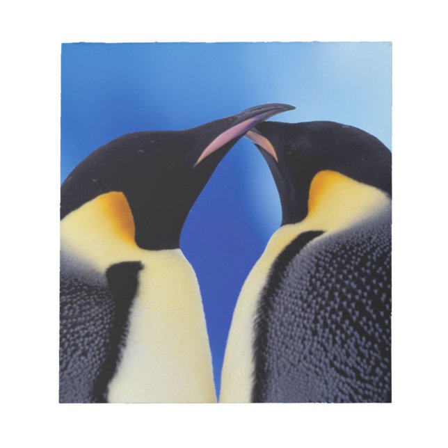 Bloco De Notas Antártida, Pinguins-imperadores (Frente)