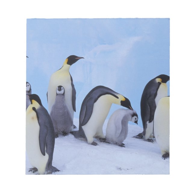 Bloco De Notas Antártida, Pinguins Imperadores (Frente)
