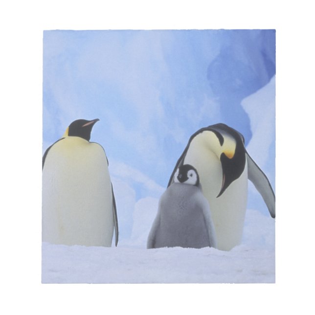 Bloco De Notas Antártida. Pinguins-imperadores e filhote (Frente)