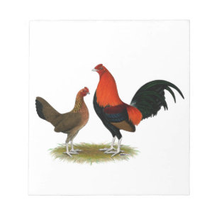 Bloco De Notas Antigos Bantams de Jogo Inglês: BB Red Pair
