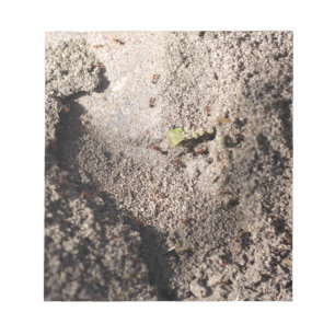 Bloco De Notas Ants Go Marching