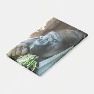 Bloco De Notas Ape hood ~ Japonês Gorilla Eating