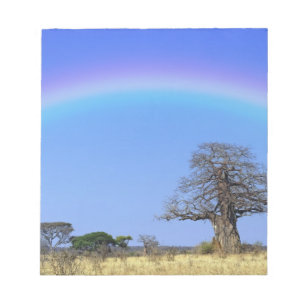 Bloco De Notas Arco-íris e árvore baobá africano, Adansonia