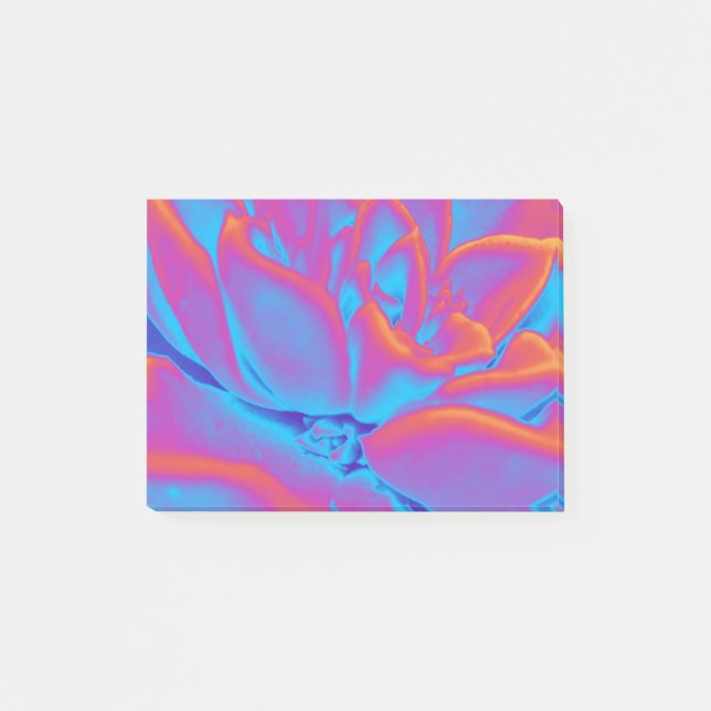 Bloco De Notas Arco-íris - Planta suculenta (Frente)
