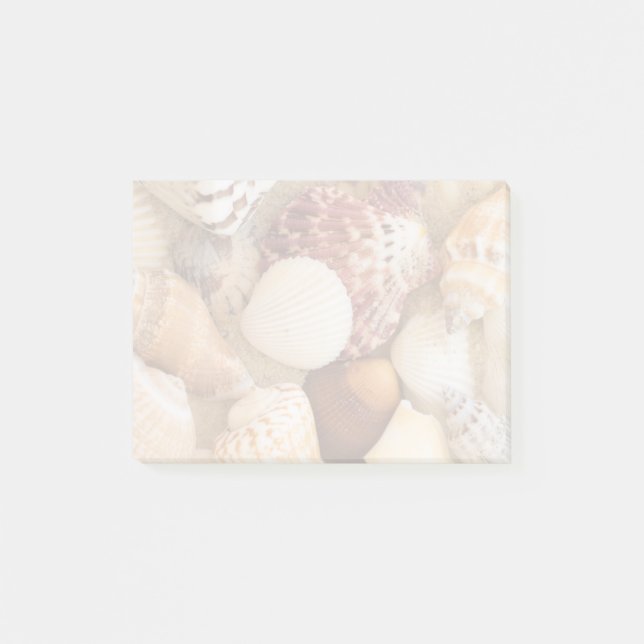 Bloco De Notas Arranjo do Seashell (Frente)
