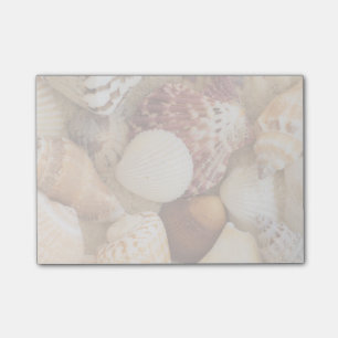 Bloco De Notas Arranjo do Seashell