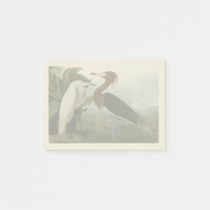 Bloco De Notas Arte de Pássaro: Gravura do Garça Roxa de Audubon: