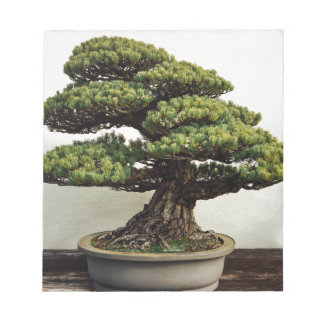 Bloco De Notas Árvore Bonsai de pinheiro branco japonês
