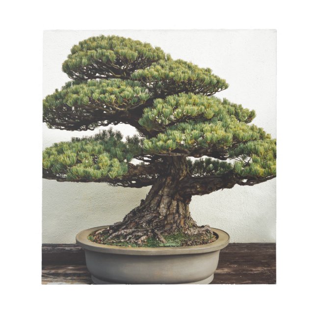 Bloco De Notas Árvore Bonsai de pinheiro branco japonês (Frente)