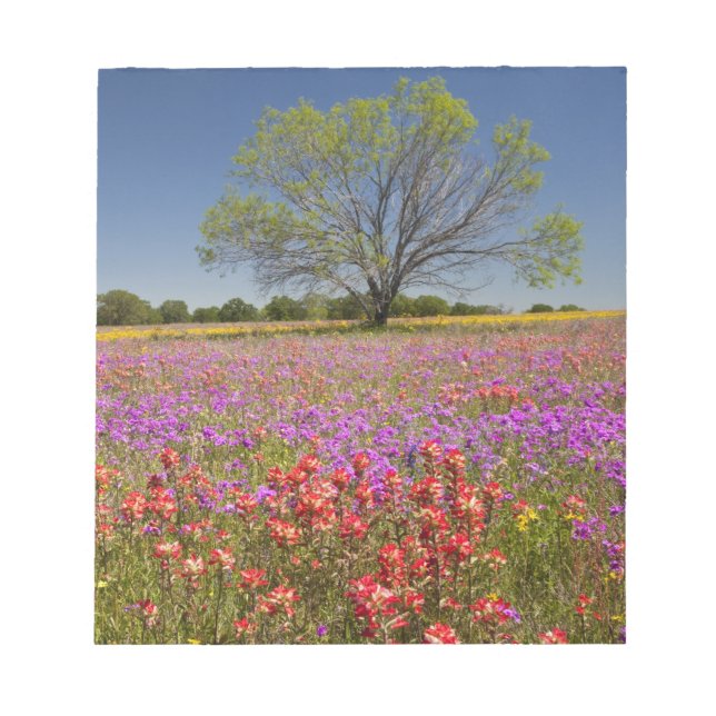 Bloco De Notas Árvores de mesquite da primavera crescendo em flor (Frente)