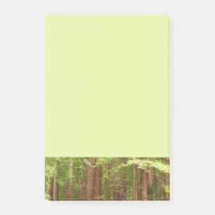 Bloco De Notas Árvores de Sequoia