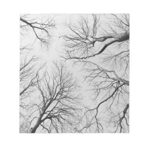 Bloco De Notas Árvores Leafless na madeira de Thiepval