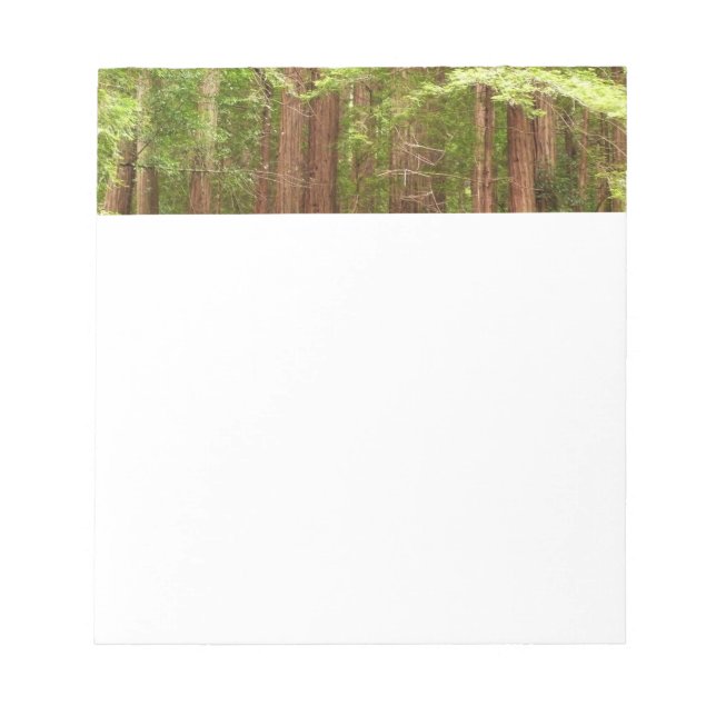 Bloco De Notas Árvores Redwood no Monumento Nacional Muir Woods (Frente)