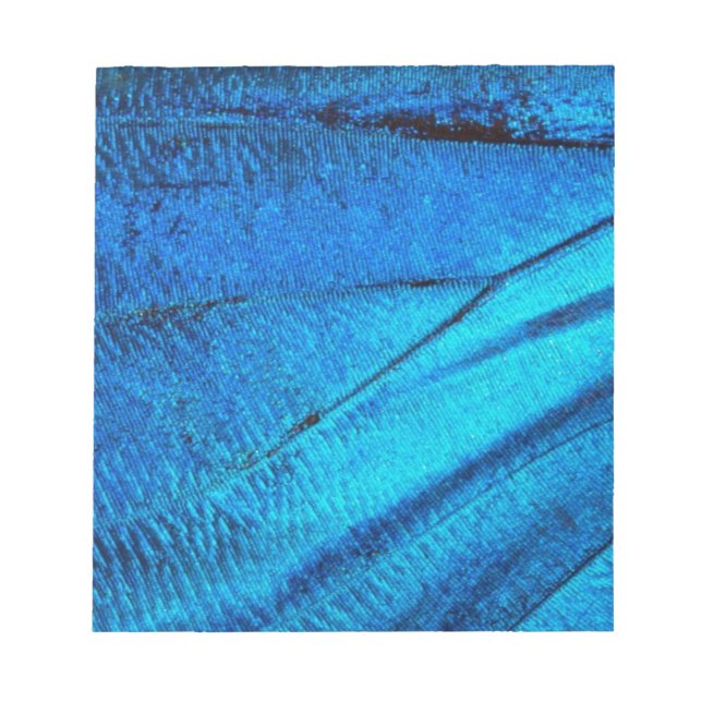 Bloco De Notas Asa de Borboleta Azul Iridescente (Frente)