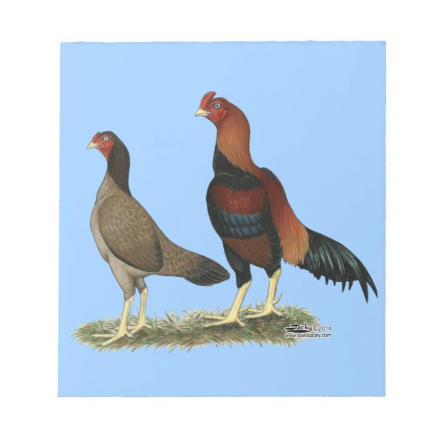 Bloco De Notas Aseel Wheaten Chickens (Frente)