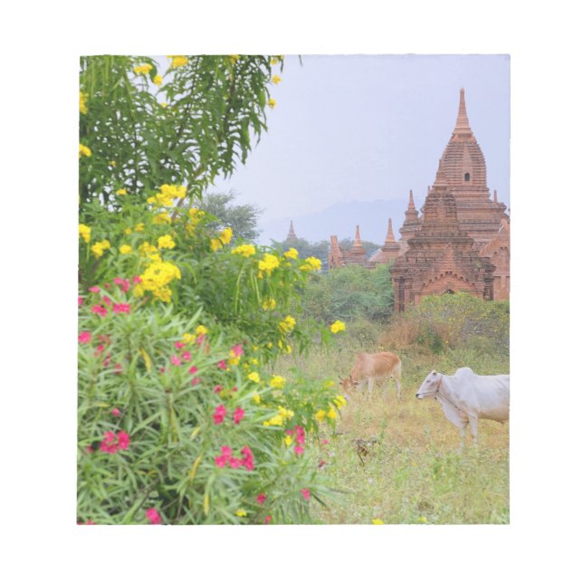 Bloco De Notas Ásia, Mianmar (Birmânia), Bagan (Pagan). Vacas (Frente)
