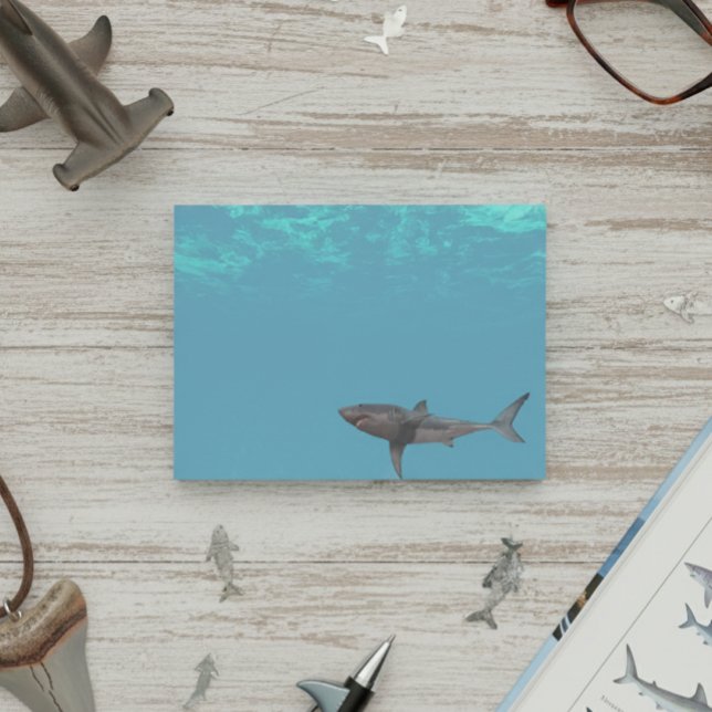 Bloco De Notas Ataque de Tubarão Branco Oceano (Criador carregado)