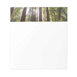 Bloco De Notas Até Sequoias de Manhã