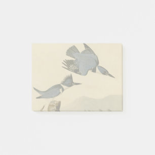 Bloco De Notas Audubon Belfisher Kingfisher Wildlife Bird