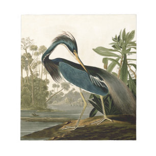 Bloco De Notas Audubon Louisiana Heron Birds América Art