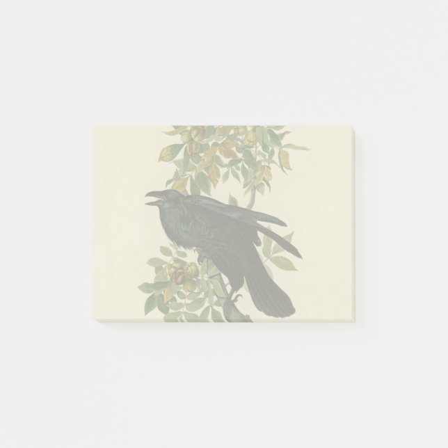 Bloco De Notas Audubon Raven Bird Classic Trabalho de arte (Frente)