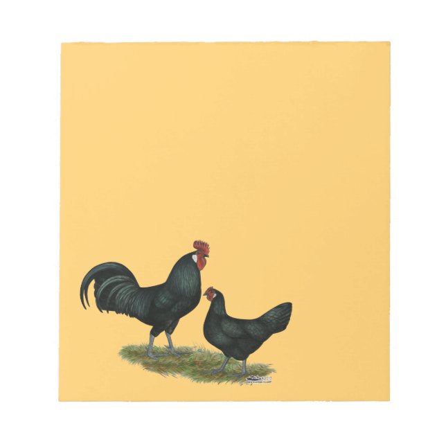 Bloco De Notas Augsburger Chickens (Frente)