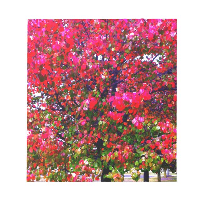 Bloco De Notas Autumn Changing Leaves, árvores impressionistas ro (Frente)