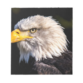 Bloco De Notas Bald Eagle