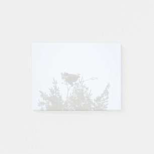 Bloco De Notas Bald Eagle