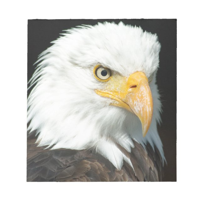Bloco De Notas Bald Eagle (Frente)